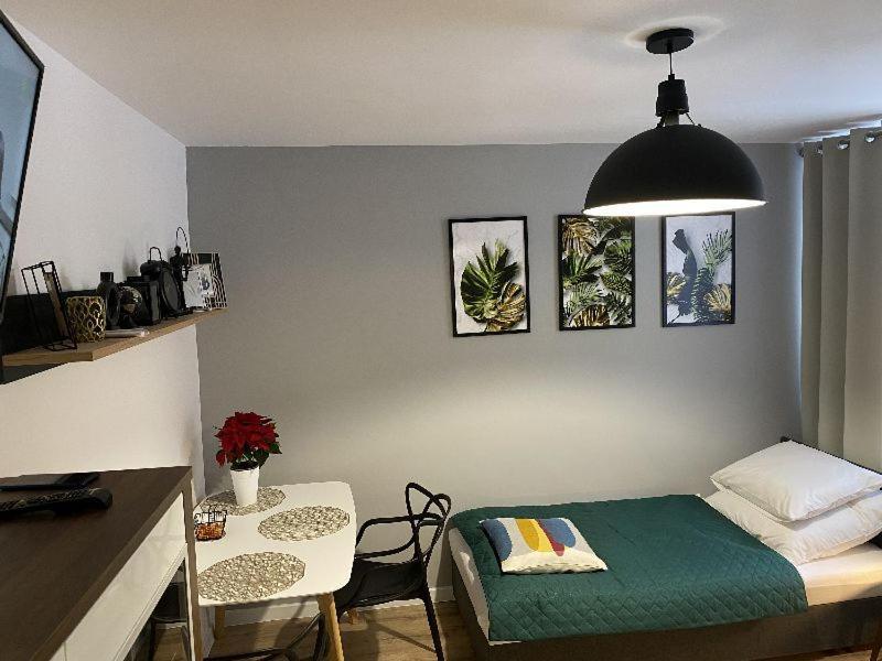 Apartamenty Blogi Sen Ii- Komfortowy Nocleg W Spokojnej Lokalizacji Zabrze Exterior foto